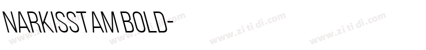 NarkissTam Bold字体转换